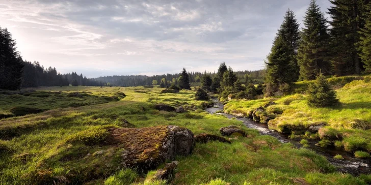 Šumava je nádherná, bavit vás budou pěší výlety i cyklotoulky. 