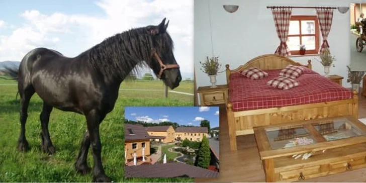 3750 Kč za víkend v sedle i kočáře. Přijďte setřást stres z výšky koňského hřbetu na statek Selský dvůr se slevou 53%!