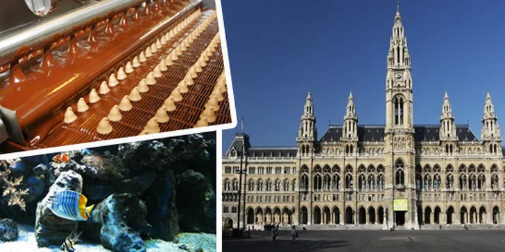 Čokoládovna a podmořský svět ve Vídni