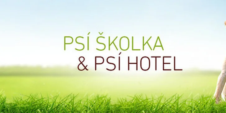 Jeden den v psí školce Dogpark