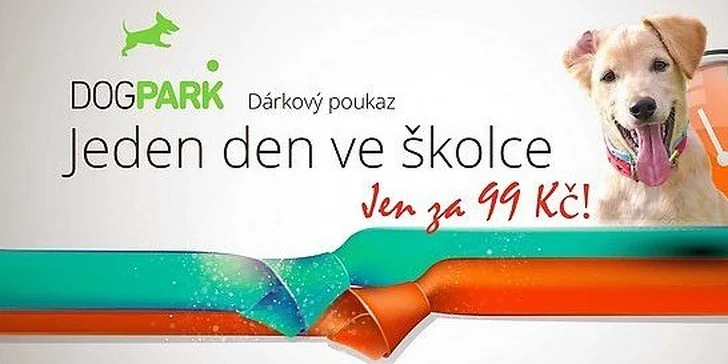 Jeden den v psí školce Dogpark
