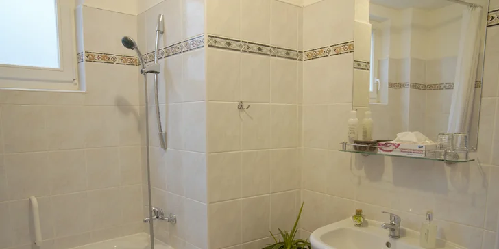 Samozřejmostí je koupelna s toaletou, sprchovým koutem nebo vanou.