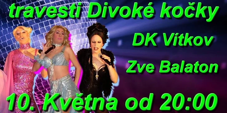 Travesty show Divoké kočky