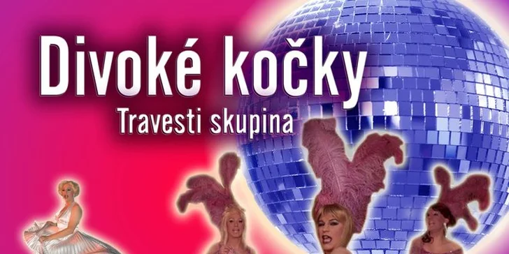 Travesty show Divoké kočky