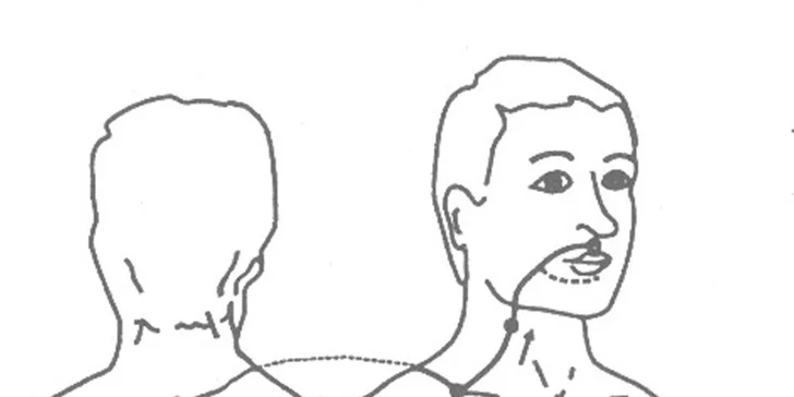 Test potravinové intolerance (Creavu test)