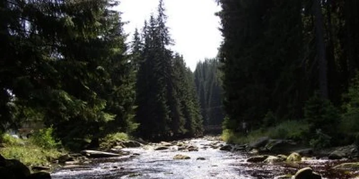 1590 Kč za pobyt na dvě noci pro dva v klidu Šumavy. Oddych a relax, výlety po okolí na kolech, romantika Selské chalupy se slevou 51%!