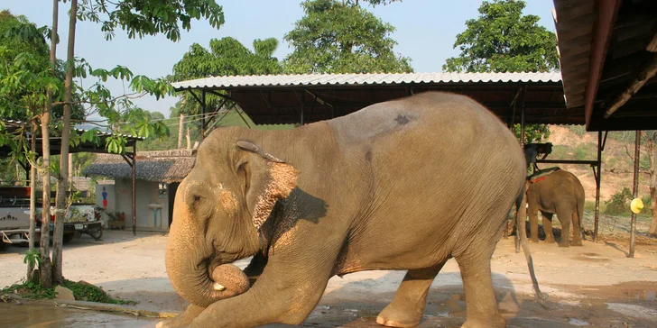 8 dní na thajském ostrově Koh Chang s návštěvou památek Bangkoku