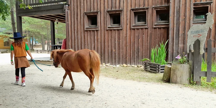  Legendární půjčovna koz, která je známá z westernového městečka v Boskovicích již téměř 30 let je vám nyní k dispozici i mimo sezónu v městečku na Ranči Divoké růže. 