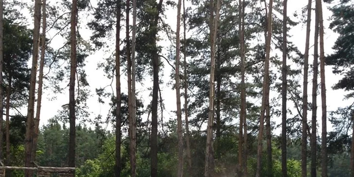 Paintball se 100 kuličkami na poloostrově u rybníka
