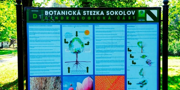 Wellness pobyt pro dva v Parkhotelu Sokolov***