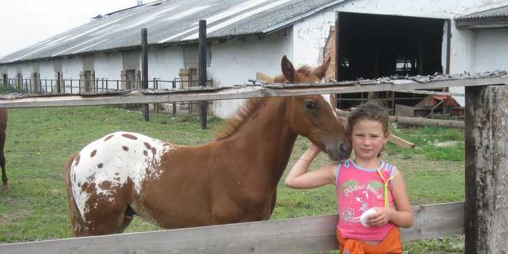 Letní příměstský tábor s koňmi na Šťastném ranči nedaleko Prahy