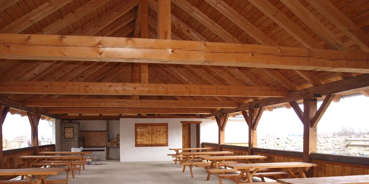 Letní příměstský tábor pro děti 6-12 let na ranči plném koní nedaleko Prahy