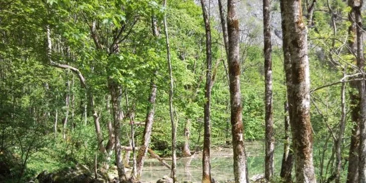 990 Kč za celodenní zájezd na Orlí hnízdo a jezero Königssee, také solné doly či termální lázně. Unikáty národního parku Berchtesgaden se slevou 40 %.