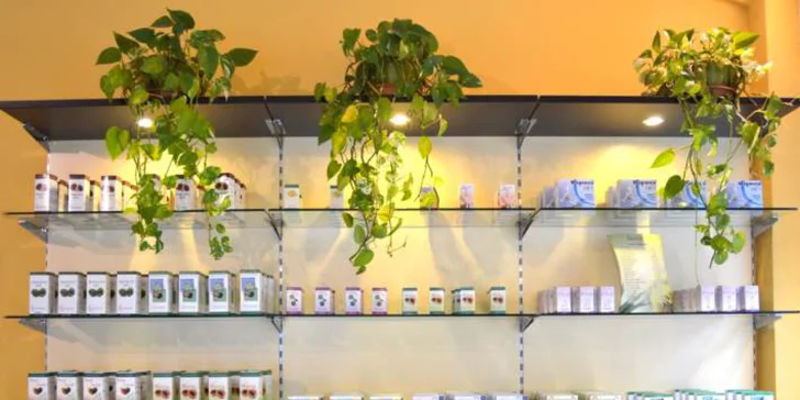 4 produkty z vysoce kvalitních bylinných extraktů s odborným poradenstvím