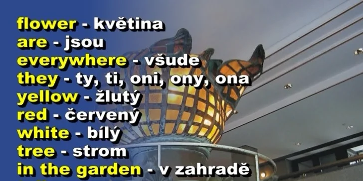 ANGLIČTINA nebo NĚMČINA VIDEO-EXPRES na každý den!