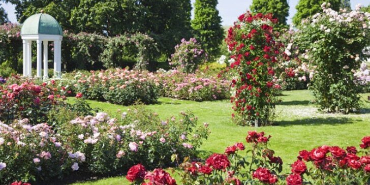 Sobotní výlet: Zámek a zahrady Laxenburg s návštěvou Slavnosti růží v Badenu