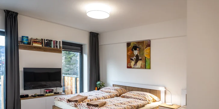 Vybrat si můžete prostorný jednopokojový (na fotce) či dvoupokojový apartmán. 