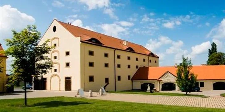 Romantická večeře či noc v Zámeckém hotelu Ctěnice s večeří a SPA terapií