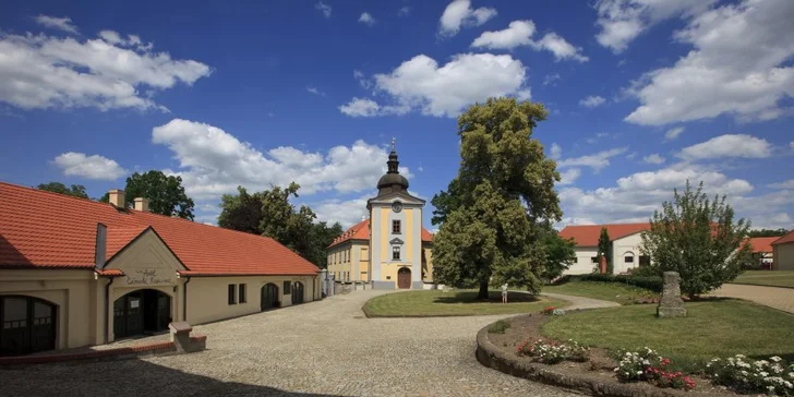 Romantická večeře či noc v Zámeckém hotelu Ctěnice s večeří a SPA terapií