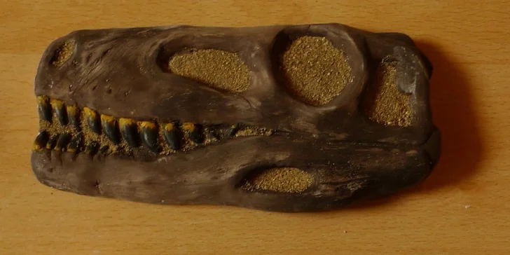 Vstupné do muzea trilobitů s výkladem a dílnou