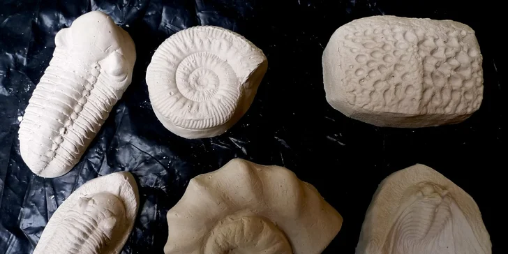 Vstupné do muzea trilobitů s výkladem a dílnou