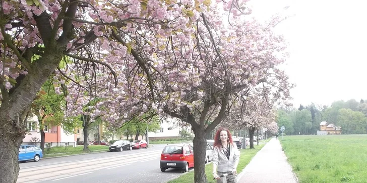 Projížďky na Segwayi v Ostravě nebo Třinci