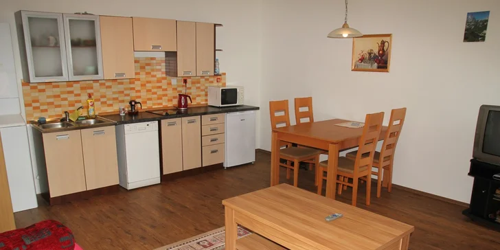 Dámská jízda aneb víkend s kamarádkami - až 6 osob v apartmánu na Klínovci