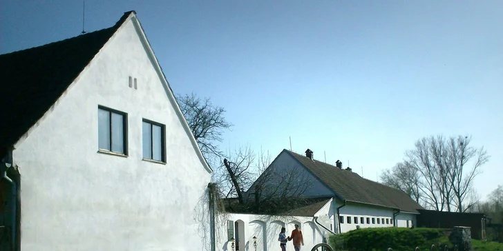 Pobyt na farmě s lekcemi jízdy a polopenzí