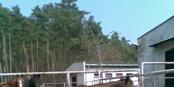 Pobyt na farmě s lekcemi jízdy a polopenzí