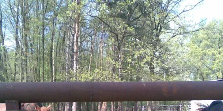 Pobyt na farmě s lekcemi jízdy a polopenzí