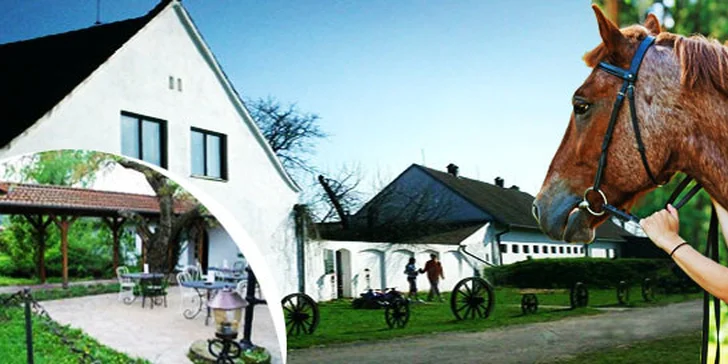 Pobyt na farmě s lekcemi jízdy a polopenzí