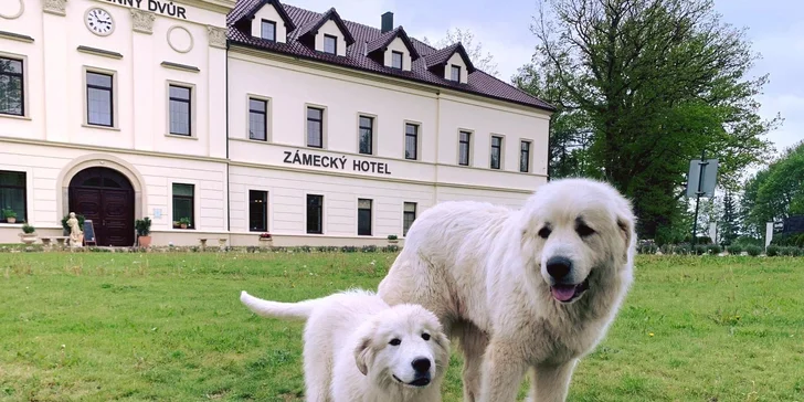 Za příplatek můžete vzít i své domácí mazlíčky. 