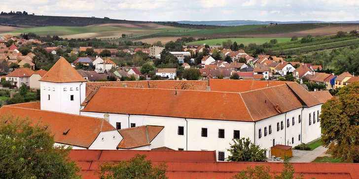 Keby ste všetkých tých bobuliek nemali dosť, vyrazte si ešte po Moravskej vínnej cyklotrase do Mutěnic (10 km), kde na vás čaká expozícia v Múzeu vinárstva.