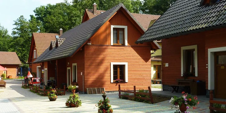 Chaty jsou ideální pro rodiny s dětmi, lyžování,  firemní akce, školení ...