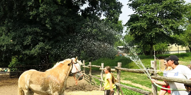 1 den děti stráví s koňmi.