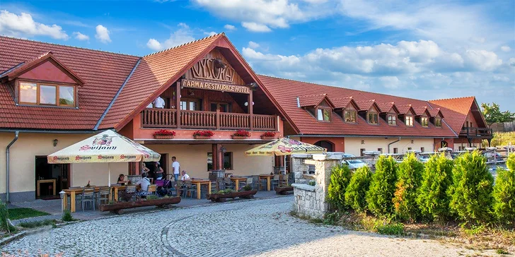 Pobyty na koňské farmě Vysoká: snídaně či polopenze, relaxace i vyjížďky