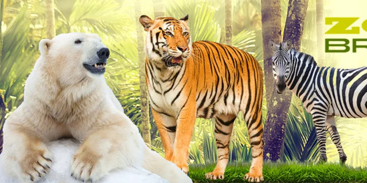 Vstupenka do brněnské ZOO pro 1 osobu