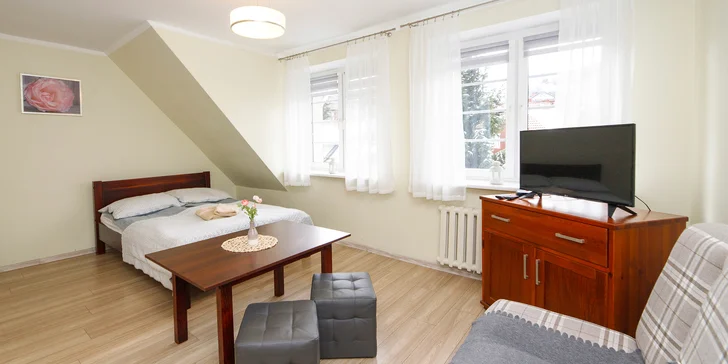 Apartmány nabízí ubytování pro 4-5 lidí.