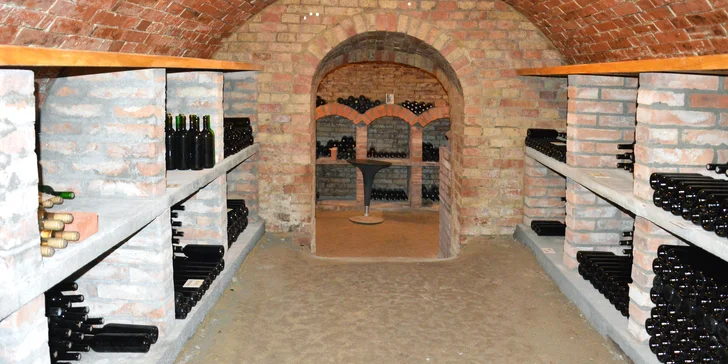 Za příplatek si užijete degustaci více než 15 druhů vín.