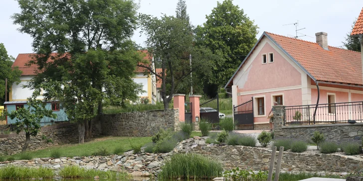 Dítě si užije týden plný koní a zábavy.