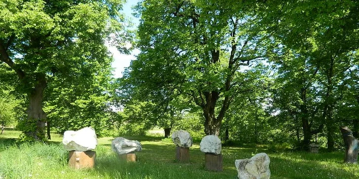 Odpočinková dovolená na Farmě v Olšanech