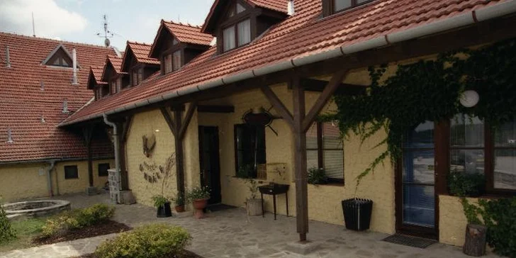 Odpočinková dovolená na Farmě v Olšanech