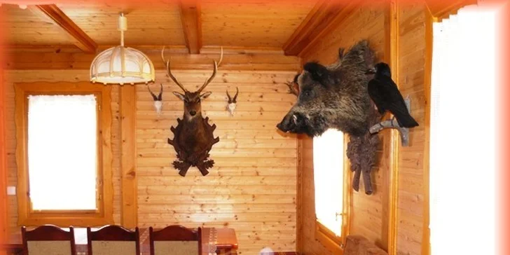 Týdenní pobyt na chatě s bazénem pro 4 nebo 8 osob