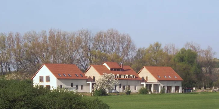 Týdenní pobyt na jižní Moravě v rodinném penzionku Alma - pro 2 nebo 4 osoby