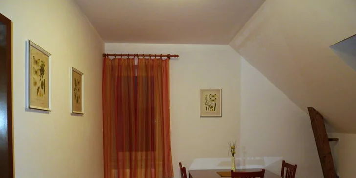 Týdenní pobyt na jižní Moravě v rodinném penzionku Alma - pro 2 nebo 4 osoby
