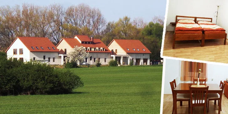 Týdenní pobyt na jižní Moravě v rodinném penzionku Alma - pro 2 nebo 4 osoby