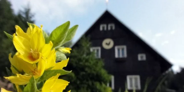 Třídenní pobyt s polopenzí v Krkonoších s vířivkou či saunou