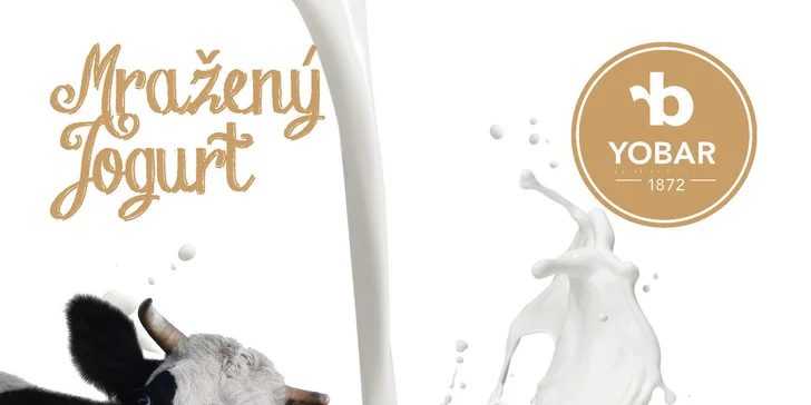 200 g Frozen Yogurtu s chutnými posypy a polevami