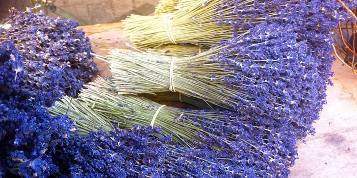 Zájezd za krásami Provence pro 1 osobu