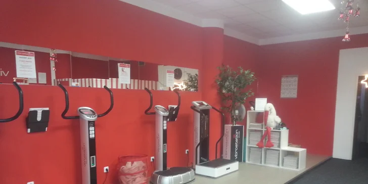 6× cvičení s Vibrostation
